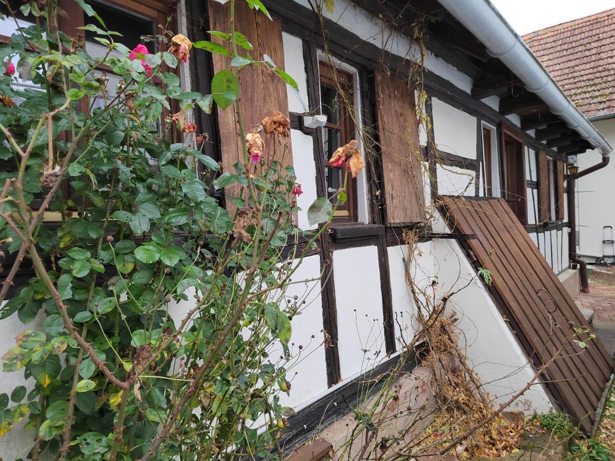 Petite Maison Alsacienne Entzheim Buitenkant foto